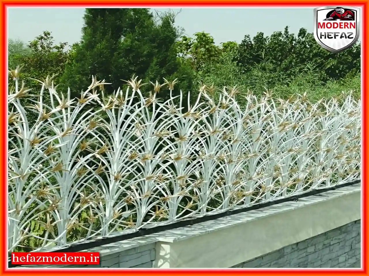 قیمت حفاظ لیلیوم