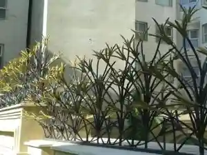 حفاظ لیلیوم