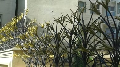 حفاظ لیلیوم