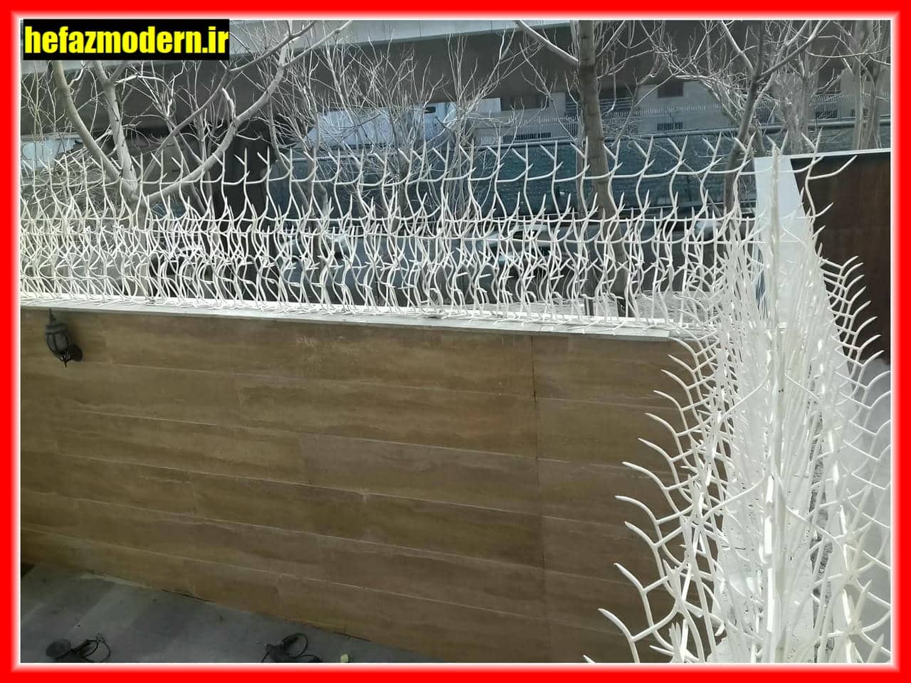 حفاظت شاخ گوزنی روی دیوار