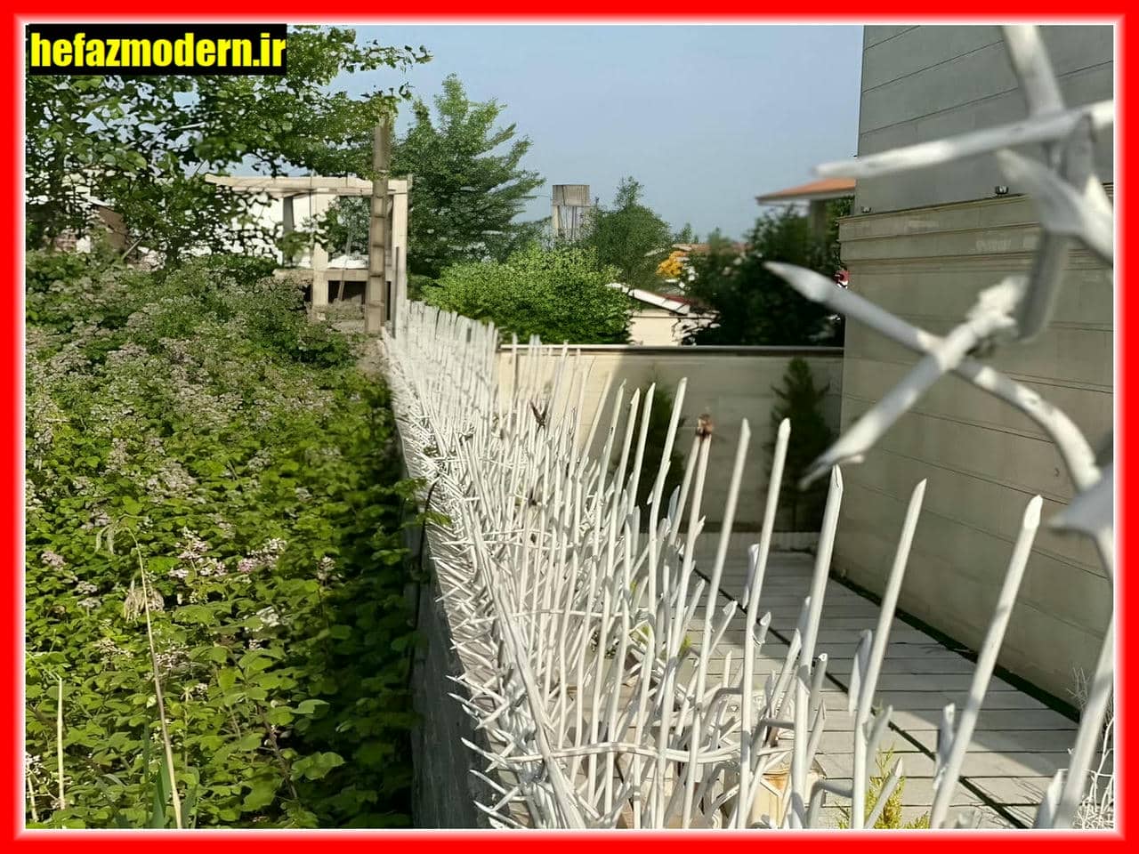 تراکم و ارتفاع حفاظ شاخ گوزنی