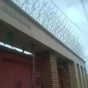 حفاظ بوته ای تراکم 53