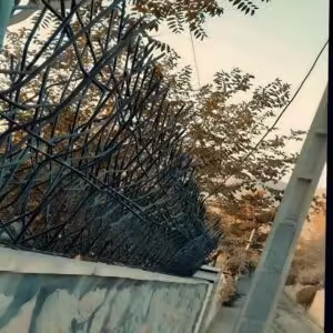 حفاظ بوته ای تراکم 67