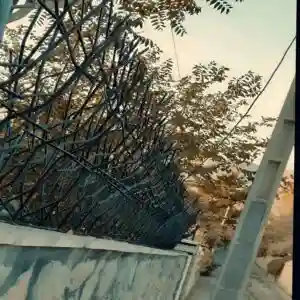 حفاظ بوته ای تراکم 67