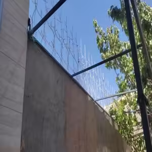 حفاظ شاخ گوزنی تراکم 22 اقتصادی