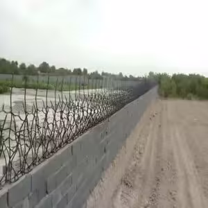 حفاظ شاخ گوزنی تراکم 31