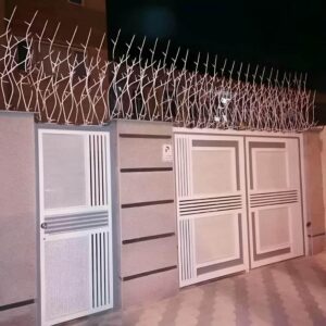 حفاظ شاخ گوزنی چیست؟