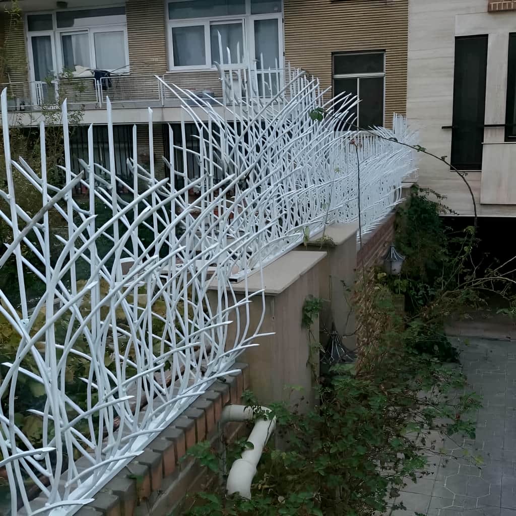 قیمت حفاظ نیزار