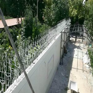 حفاظ شاخ گوزنی در نیشابور