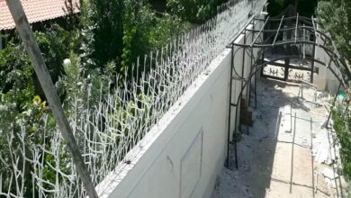 حفاظ شاخ گوزنی در نیشابور