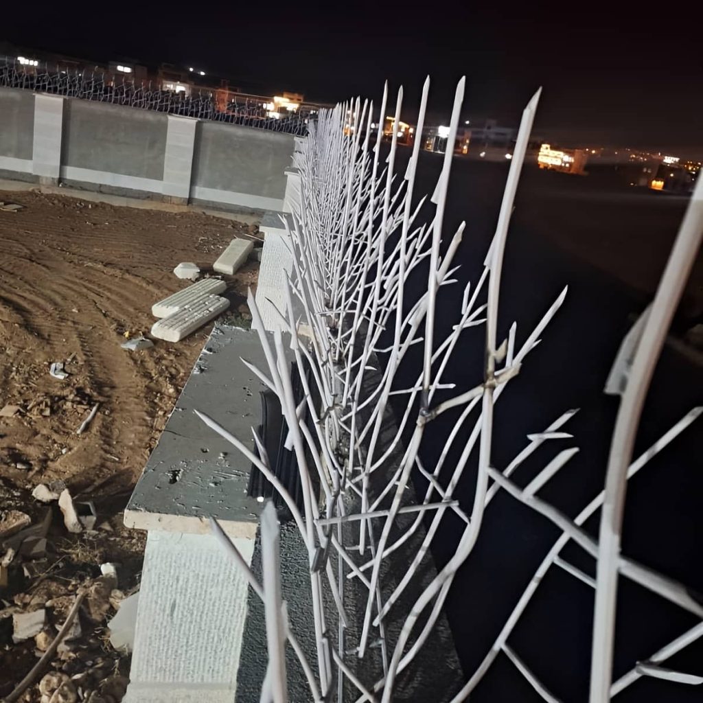 قیمت حفاظ شاخ گوزنی تراکم بالا در نسیم شهر