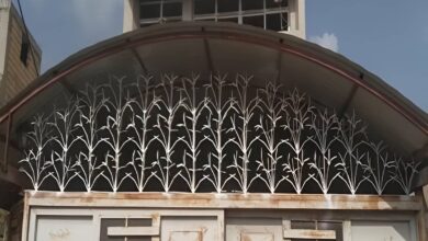 حفاظ شاخ گوزنی دیواری در کرمانشاه