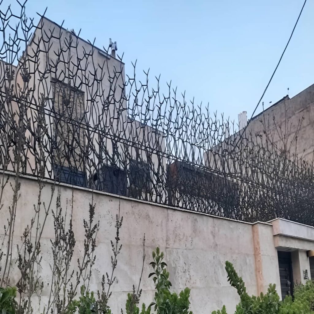 قیمت حفاظ شاخ گوزنی دیواری نوک تیز در دماوند