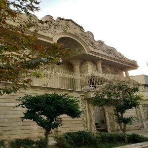 حفاظ شاخ گوزنی در آبادان