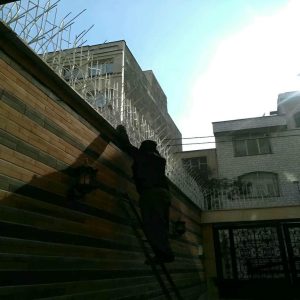 حفاظ شاخ گوزنی در مشهد