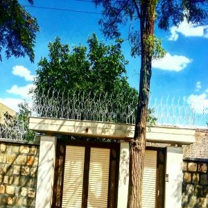 حفاظ شاخ گوزنی در خرم آباد