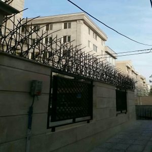 حفاظ شاخ گوزنی دیواری در ایرانشهر