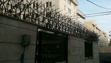 حفاظ شاخ گوزنی دیواری در ایرانشهر