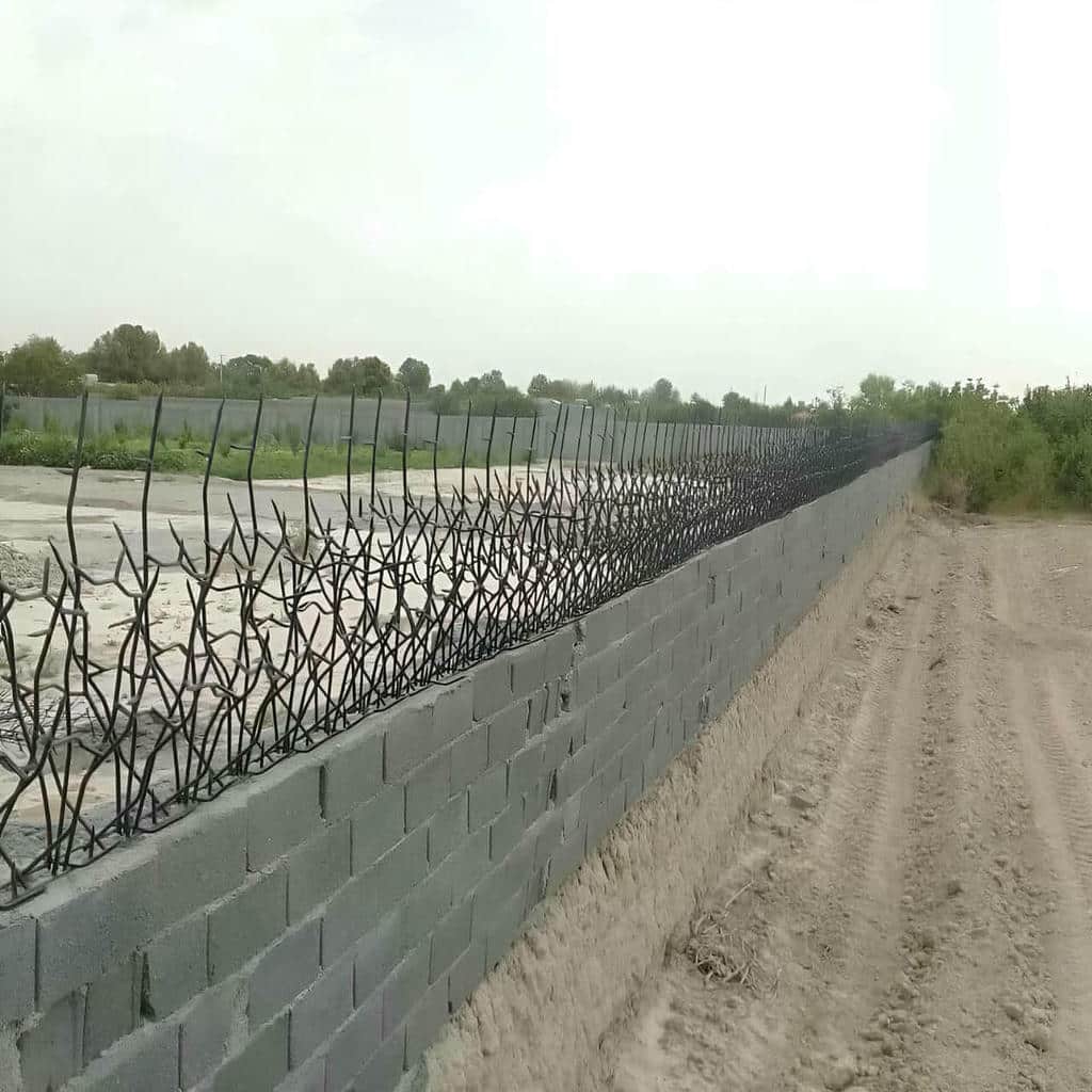 حفاظ شاخ گوزنی دیواری در دماوند