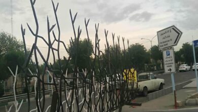 حفاظ شاخ گوزنی در رفسنجان