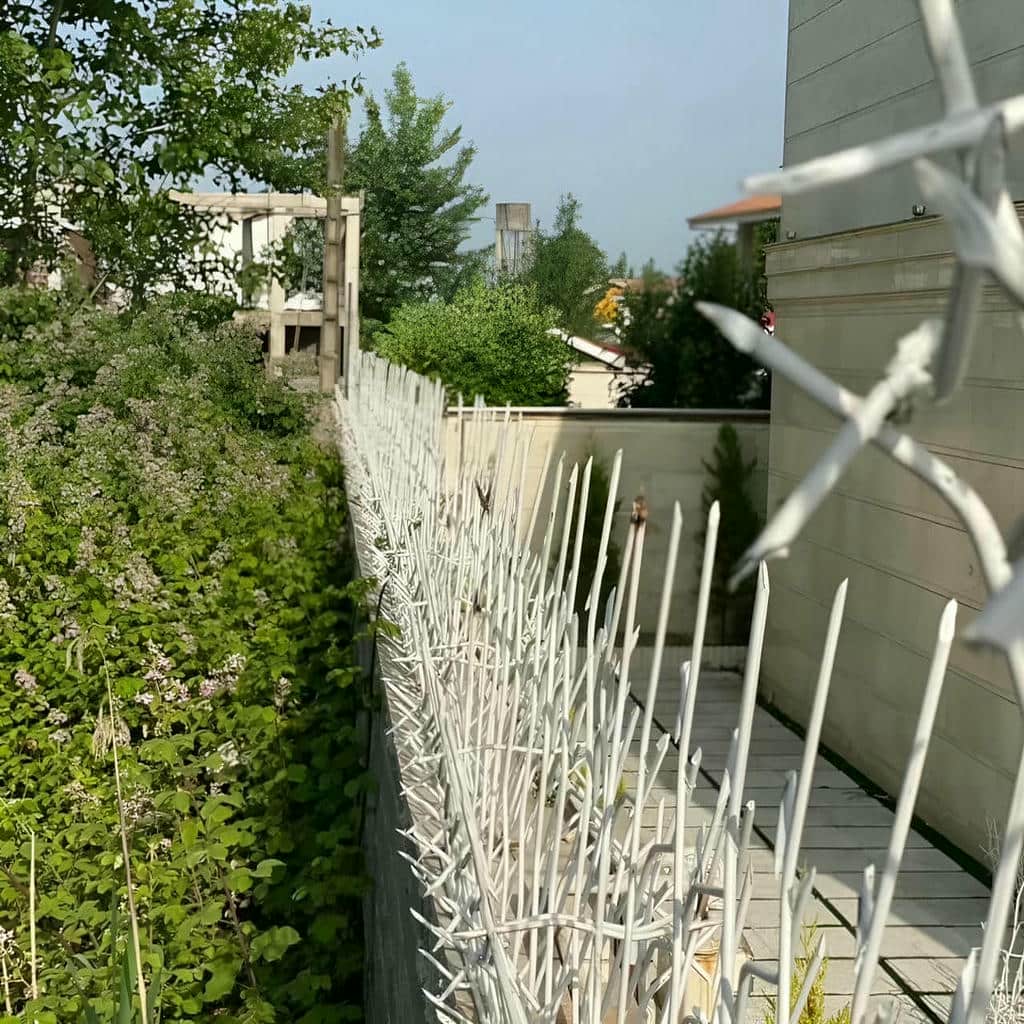 خرید حفاظ شاخ گوزنی دیواری تراکم بالا در شیراز