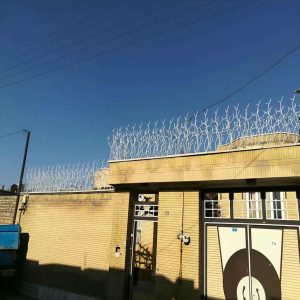 حفاظ شاخ گوزنی در بندر لنگه