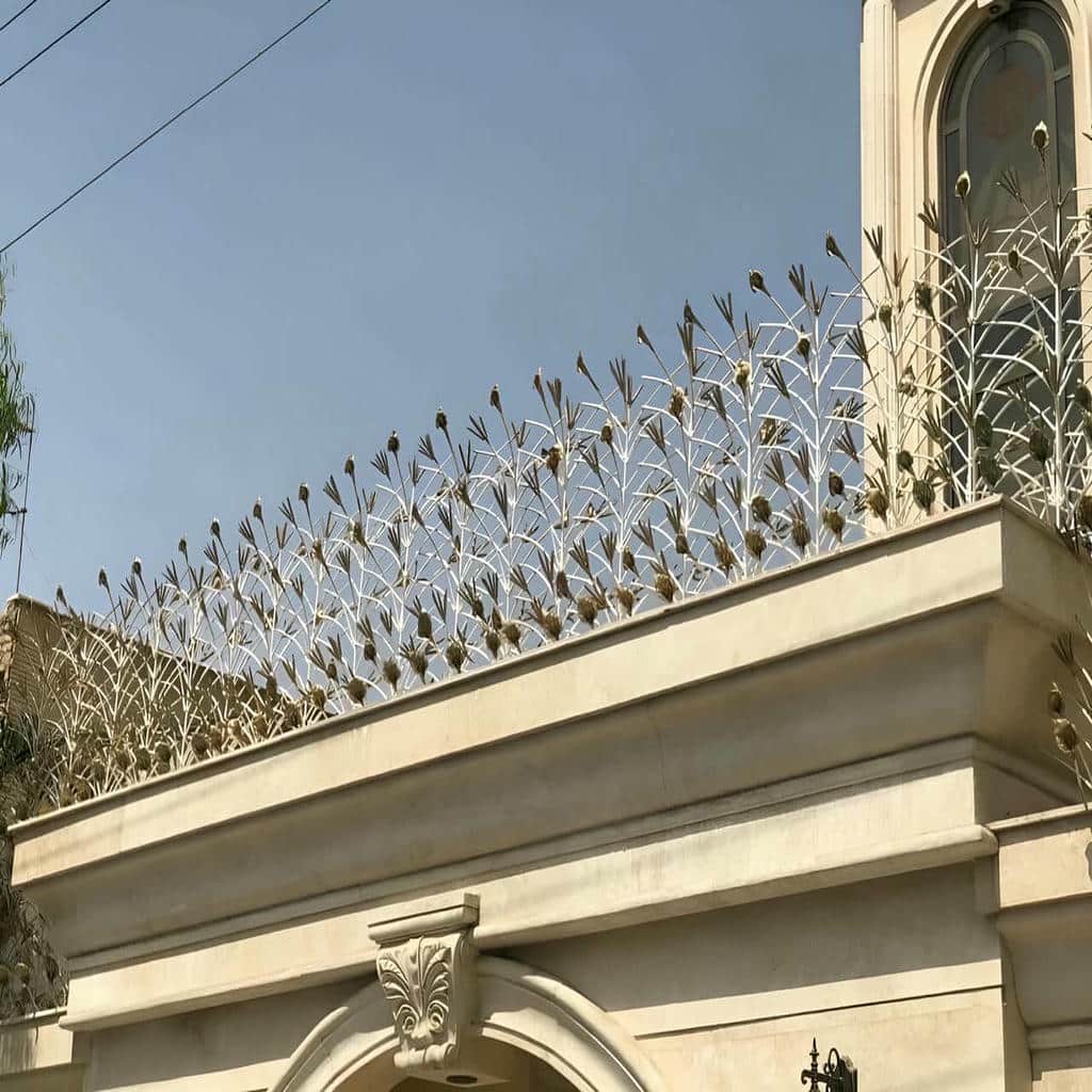 قیمت حفاظ شاخ گوزنی نوک تیز در کیش