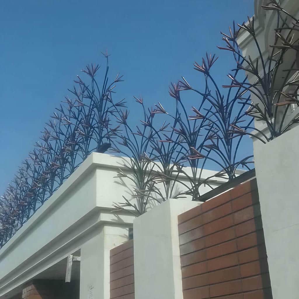 خرید حفاظ شاخ گوزنی دیوار ساختمان در پردیس