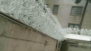 حفاظ شاخ گوزنی در پرند
