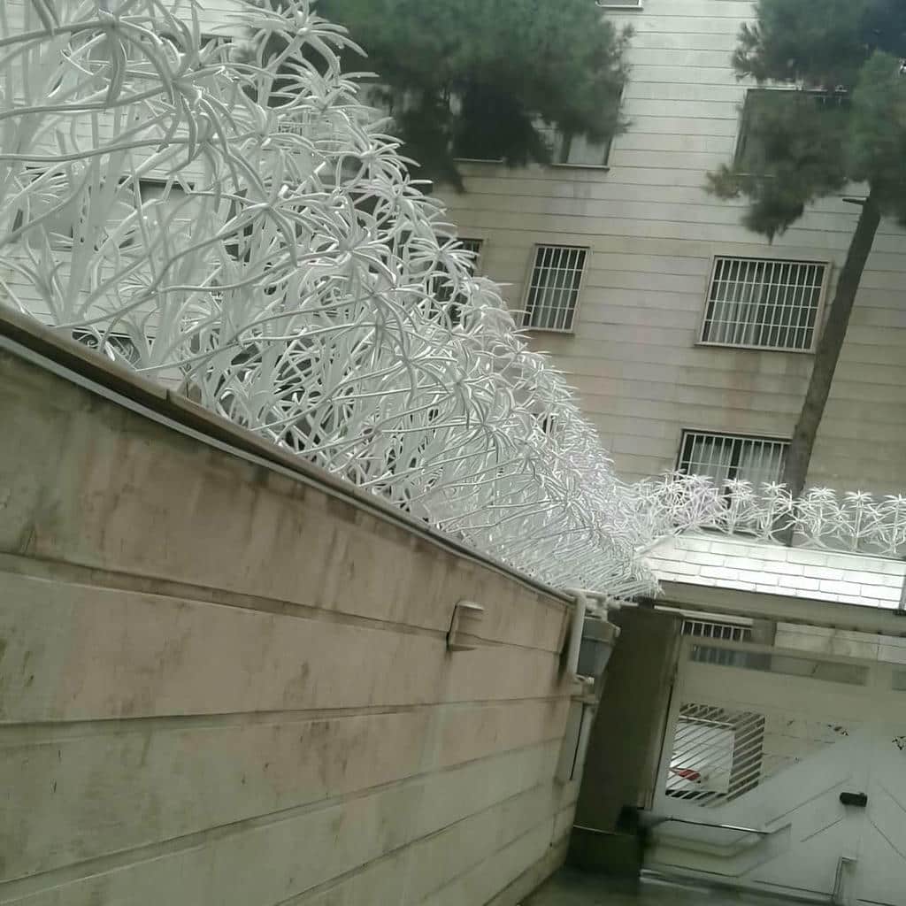 حفاظ شاخ گوزنی در پرند