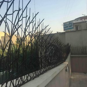 حفاظ شاخ گوزنی در بندر بوشهر