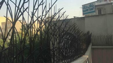 حفاظ شاخ گوزنی در بندر بوشهر