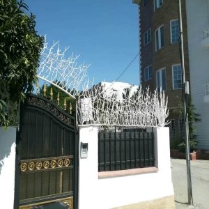 حفاظ شاخ گوزنی دیواری در قم