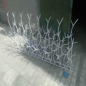 حفاظ شاخ گوزنی دیواری در یاسوج