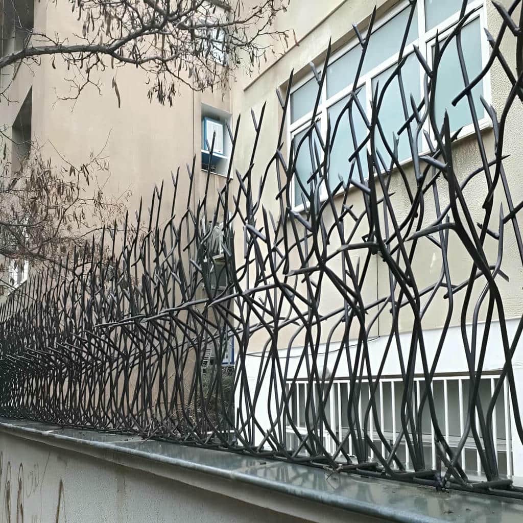 حفاظ شاخ گوزنی دیواری در اصفهان