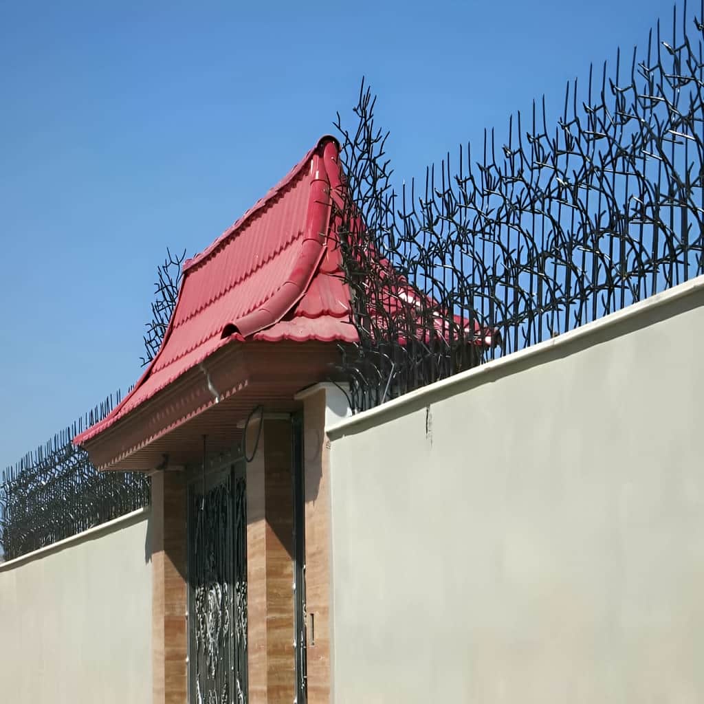نمونه بوتهای حفاظ دیوار پرتراکم با شاخههای خمیده نمونه بوتهای حفاظ دیوار پرتراکم با شاخههای خمیده