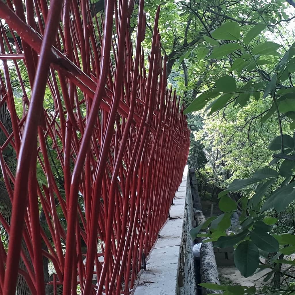 نصب حفاظ بوته ای دیوار پرتراکم روی سنگ درپوش نصب حفاظ بوته ای دیوار پرتراکم روی سنگ درپوش