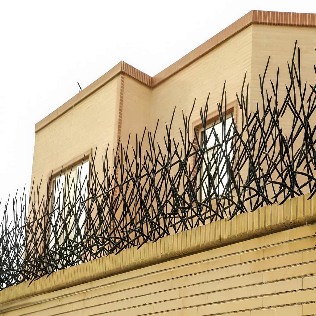 خرید حفاظ بوته ای دیوار پرتراکم با بررسی متریال خرید حفاظ بوته ای دیوار پرتراکم با بررسی متریال